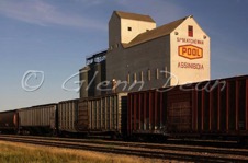 Assiniboia
August 2005
Demo'd Mar 2016